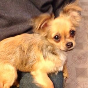 Meet your Posher, Vicki